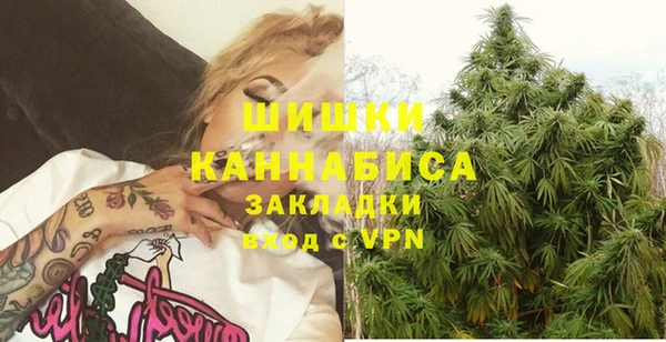 индика Арсеньев