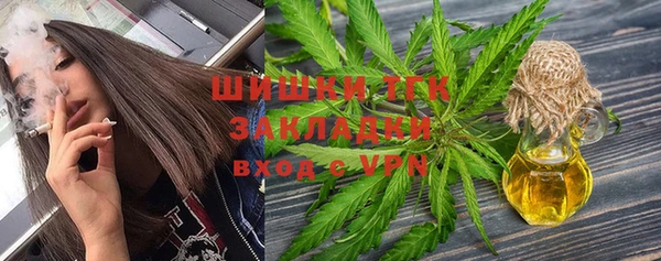 индика Арсеньев