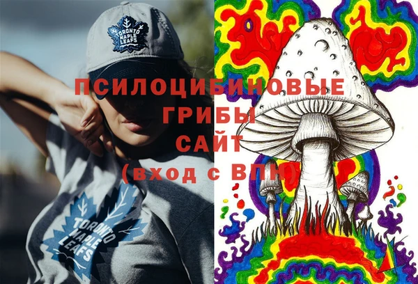 индика Арсеньев