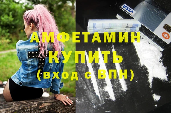 индика Арсеньев